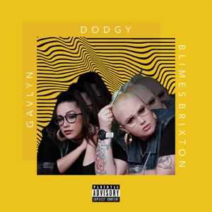 Dodgy - EP
