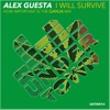 I Will Survive (How Important Is the Ganja) - Single