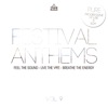 Festival Anthems, Vol. 9