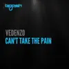 Vedenzo - Can't Take the Pain