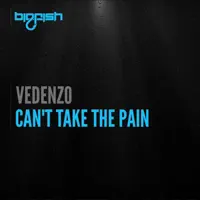 Can't Take The Pain — Vedenzo
