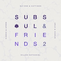 Subsoul & Friends, Vol. 2 - EP - Various Artists