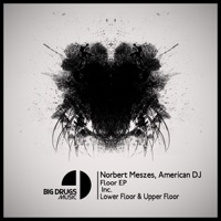 Floor EP - Norbert Meszes & American DJ