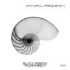 Natural Frequency