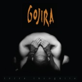 Gojira - Lizard Skin