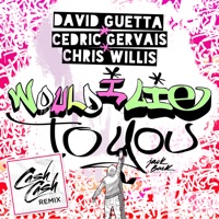 Would I Lie to You (Cash Cash Remix) - Single - David Guetta, Cedric Gervais & Chris Willis