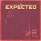 Radio Night - The Expected lyrics