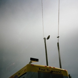 Fell Back Dexter Dukarus