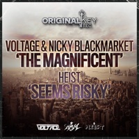The Magnificent/ Seems Risky - Single - Voltage, Nicky Blackmarket & Heist