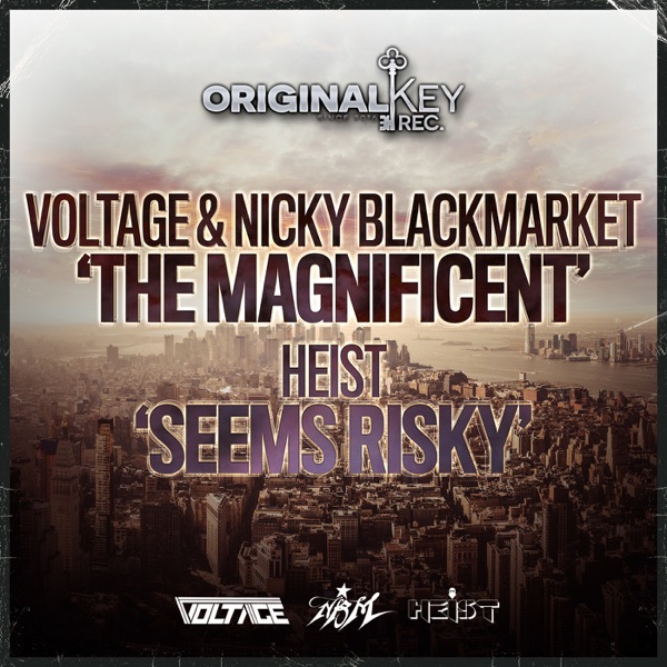 The Magnificent/ Seems Risky - Single