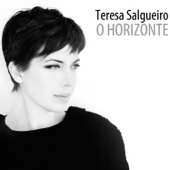 Desencontro - Teresa Salgueiro Cover Art