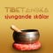 Buddistisk chant för bön - Helande Instrumentalmusik Akademi lyrics