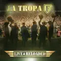 Luna de Miel (Live)