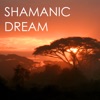 Shamanic Music Tribe