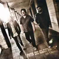 Diga-Me Com Quem Andas e Te Direi Se Eu Vou Junto — Pata de Elefante