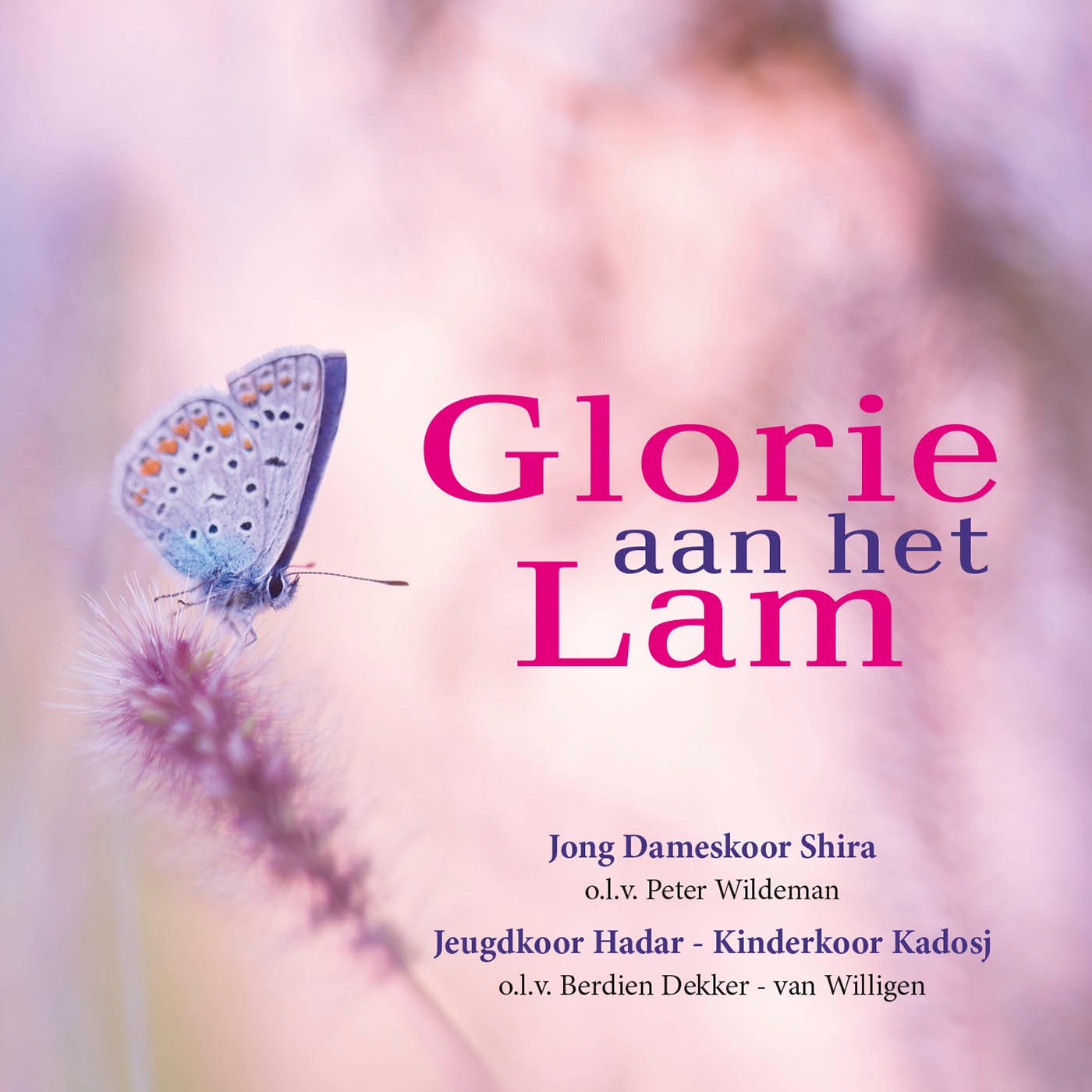 Glorie aan het Lam