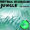 Jungle (Pumio Space Remix) - Rhythm Staircase lyrics