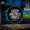 Deep Metro Vibes, Vol. 13, 2016