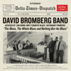 The Blues, The Whole Blues and Nothing but the Blues - The David Bromberg Band