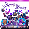 Spirit of Praise Vol 6 (Live) - Spirit of Praise