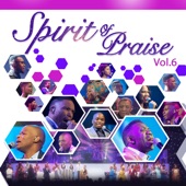 Spirit of Praise, Vol. 6 (Live) artwork