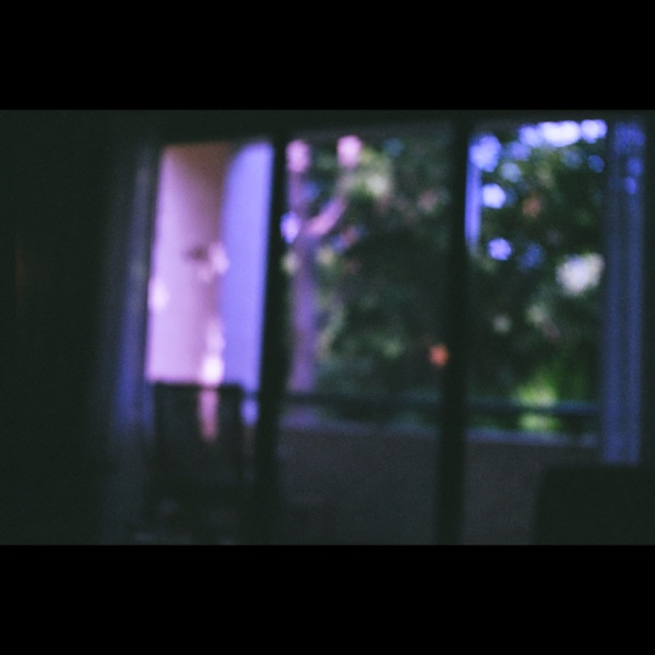 They Glistened Sharply Through Morning Dew