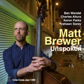 Matt Brewer - Twenty Years