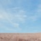 Start Running - Tom Day & Laura Lethlean lyrics