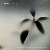 Land E. (feat. Okko Saastamoinen, Jarno Tikka, Mikael Saastamoinen & Toomas Keski-Säntti) artwork