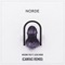 Missing You (CANVAS Remix) [feat. Lucas Nord] - Single