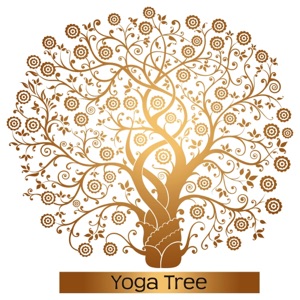 Yoga Tree – Calming Yoga Music to Create Your Perfect Yoga Space, Open Your Mind and Balance Your Body