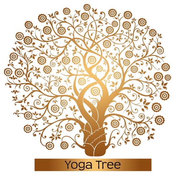 Yoga Tree – Calming Yoga Music to Create Your Perfect Yoga Space, Open Your Mind and Balance Your Body