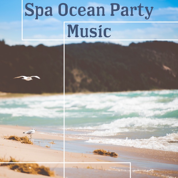Spa Ocean Party Music: Relaxing Nature Day Spa Sounds, Gentle Sounds of the Sea for Wellness, Sensual Massage, Meditation & Relaxation Music Lounge