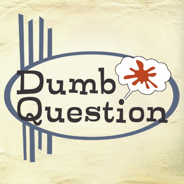 Dumb Question cover