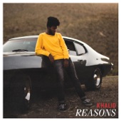 Reasons artwork