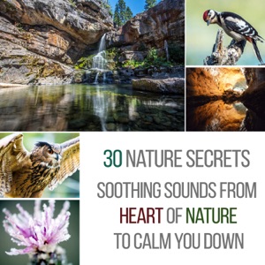 30 Nature Secrets - Soothing Sounds from the Heart of Nature to Calm You Down: Fight Stress & Fear, Beat Insomnia, Yoga Routine, Mindfulness, Aurveda & Beauty Spa Massage