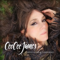 Cee Cee James - Glory Bound