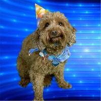 Happy Birthday! (Kids Dance Party Mix) - Single - Dave Taylor