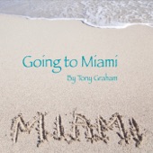 Going to Miami artwork