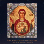 The Star That Reveals the Sun artwork