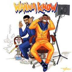 Wanna Know (Remix) [feat. Drake] - Single