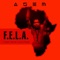 Fela - Asem lyrics