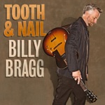 Billy Bragg - Chasing Rainbows