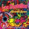 Pasión Oriental - Los Destellos lyrics