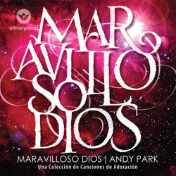 Andy Park - Veo Al Senor
