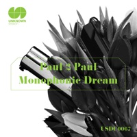 Monophonic Dream - Single - Paul2Paul