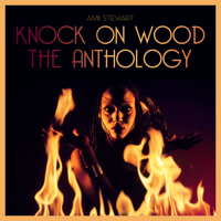Amii Stewart - Knock On Wood: The Anthology artwork