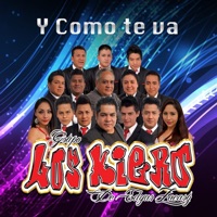 Cumbia De Los Patos