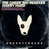 The Cheek300 Mixes (Big D vs. Harry Hard) - Single