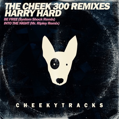 The Cheek300 Mixes (Big D vs. Harry Hard) - Single